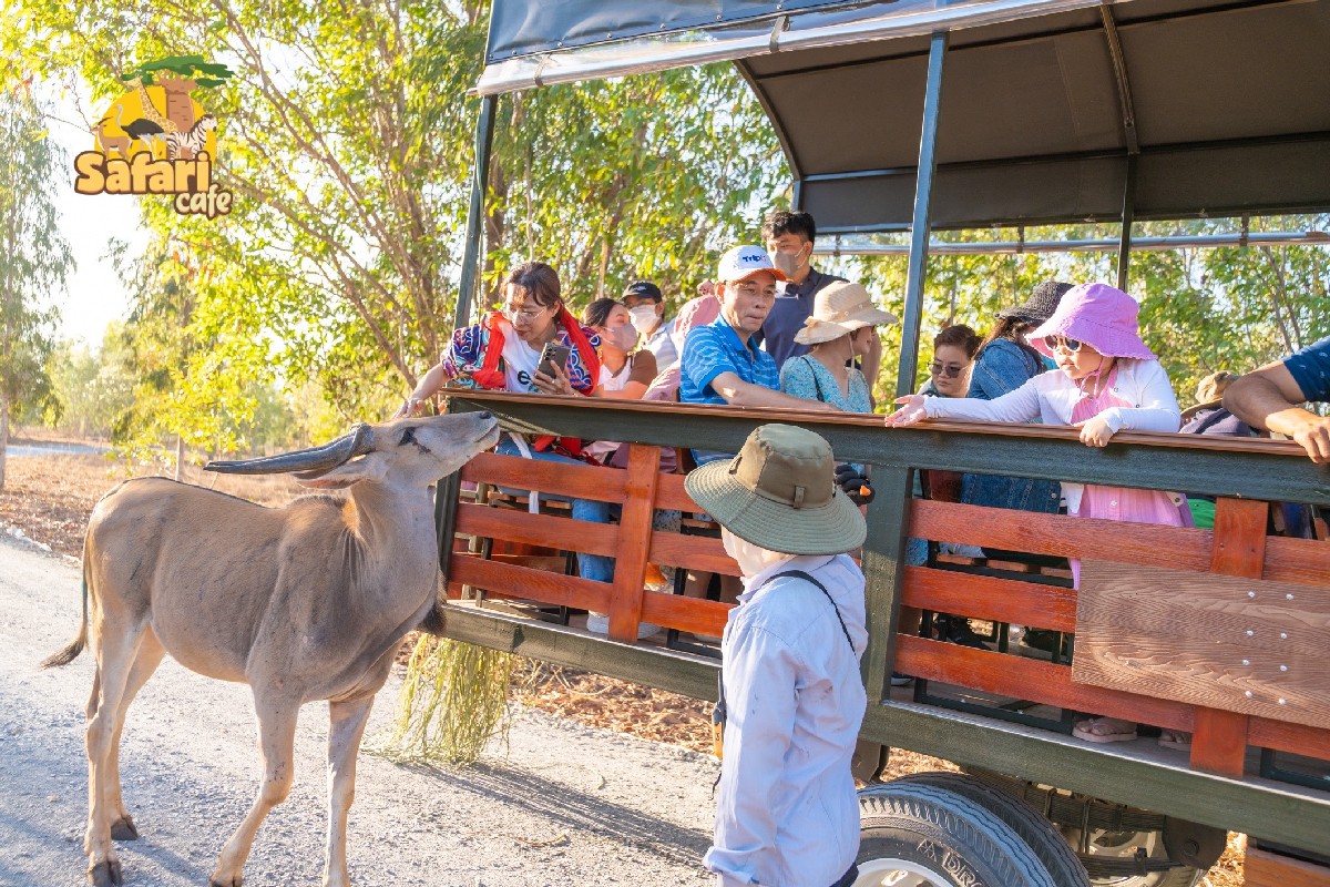 Vé Safari Cafe NovaWorld Phan Thiết